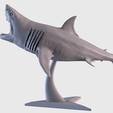 02.png White Shark Statue