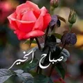 aliibrahiem