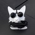 20190219_144713.jpg Headphone roll-up cat