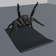 phoneStand_jumpingSpider_storeImage3.png Jumping Spider Phone Stand