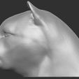 3.jpg Leopard head for 3D printing