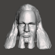 Screenshot-51.png WWE WWF LJN Style Jimmy Valiant Custom Head Sculpt
