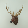 stag 11.png Stag Trophy