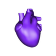 heart_stl.stl Archivo STL Corazón humano・Diseño de impresión en 3D para descargar