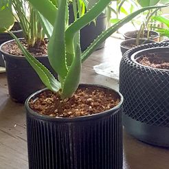 pot1.jpg Aloe Plant Pot