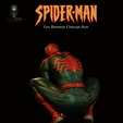 SMRP4.png SPIDER- MAN 1/6 (30cm)