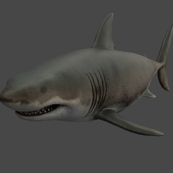 Render1.png Great White Shark