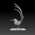 2343242332.jpg colibri humming bird