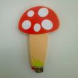 IMG_4888.jpeg Mushroom lighter case
