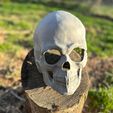 IMG_20230426_191031_983.jpg Realistic Skull Mask