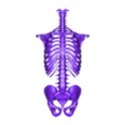 Torso .stl Esqueleto humano