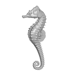 z.png Seahorse