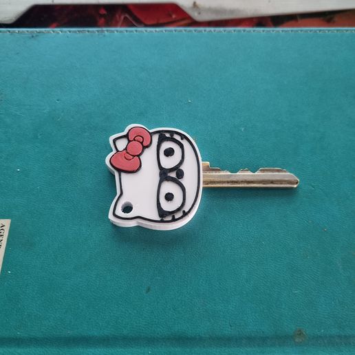 1000554409.jpg HELLO KITTY KEY COVERS