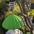BIRD FEEDER (Free bird seed)