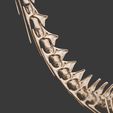 2.jpg Argentinosaurus : Esqueleto completo