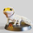 Cute-Gecko-With-Skin.jpg Cute Gecko With Skin - VRML Color 3d print & STL Included!  -Lizard