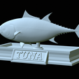 Tuna-model-19.png fish tuna bluefin / Thunnus thynnus statue detailed texture for 3d printing