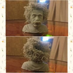 Hairy Einstein, GeneralDcruz