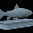 Trout-statue-29.png fish rainbow trout / Oncorhynchus mykiss statue detailed texture for 3d printing