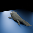 0004.png Ichthyostega: Der erste Wanderer - Wissenschaftlich korrekter Tetrapode aus dem Devon