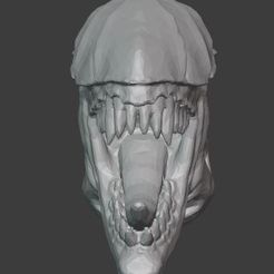 cs4.jpg STL-Datei Alien-Kopf・3D-druckbares Modell zum herunterladen