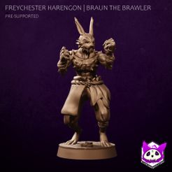 Braun-front.jpg Freychester Harengon | Braun the Brawler