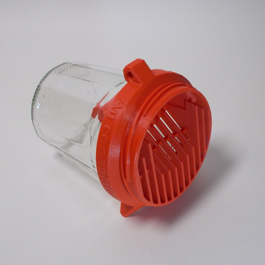 Small Asian hornet trap 2