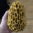 morrel_002.jpg Morel mushroom (lamp option)