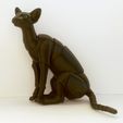 IMG_20191122_141517.jpg STL file Oriental Cat BJD・3D print design to download