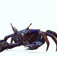 015.jpg Crab, - DOWNLOAD Crab 3d Model - PACK animated for Blender-Fbx-Unity-Maya-Unreal-C4d-3ds Max - 3D Printing Crab Crab