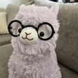 5be2e445-bc0c-4cc7-b138-c744f35d998f.jpg Alpacasso Glasso
