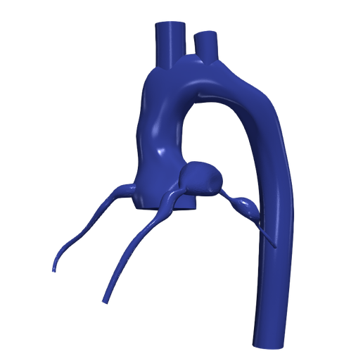 3.png 主动脉和冠状动脉 3D 模型 - 6 件装