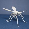 IMG_2205.JPG Fichier STL gratuit Modèle Mosquito・Design imprimable en 3D à télécharger