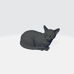 cat-figure1.png Figura de gato