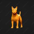 2864-Bull_Terrier_Miniature_Pose_02.jpg Bull Terrier Miniature Dog 3D Print Model Pose 02