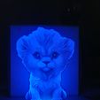 20230630_214147.jpg lion cub litho lamp