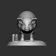 2.jpg PIG