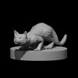 Cat.JPG Misc. Creatures for Tabletop Gaming Collection