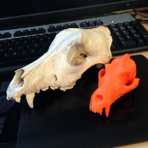 Wolf_4.jpg Descargar archivo STL gratis BONEHEADS: Wolf Skull & Jaw Bone - PROMO - 3DKITBASH.COM • Diseño para impresión en 3D, Quincy_of_3DKitbash