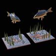 carp-scenery-45cm-23.png two carp scenery in underwather for 3d print detailed texture