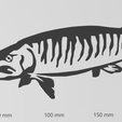 Screenshot-2023-10-22-194435.png Wandtattoo Fisch Hecht