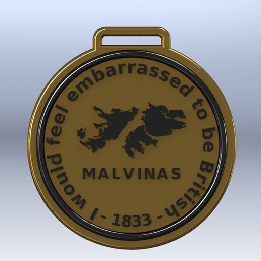 Islas Malvinas Commemorative Medal – "I would feel embarrassed to be British"