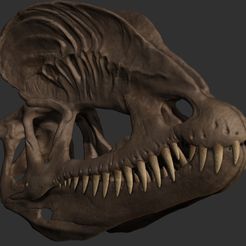 ZBrush-Document.jpg Dilophosaurus Skull