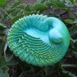 feathershell2crop.jpg Feather Shell - a 3D fractal artifact