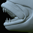Dentex-mouth-statue-70.png fish Common dentex / dentex dentex open mouth statue detailed texture for 3d printing