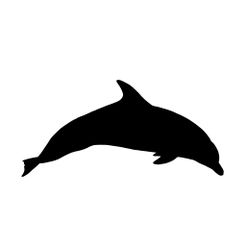 IMG-3653.jpg Dolphin Silhouette