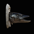 northern-pike-7.png head trophy NORTHERN PIKE (ESOX LUCIUS) open mouth statue detailed texture for 3d printing