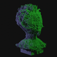 vid0029.png Alien Insectoid Bust
