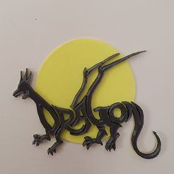 20200301_123624.jpg Fichier STL dragon・Design pour impression 3D à télécharger