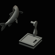 common-carp-trophy-2-2-1-24.png COMMON CARP (CYPRINUS CARPIO) fish in motion trophy statue detailed texture for 3d printing